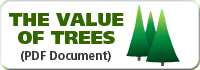 value of tree trimming